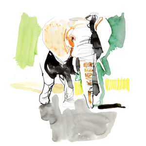 Elefant TierArt
